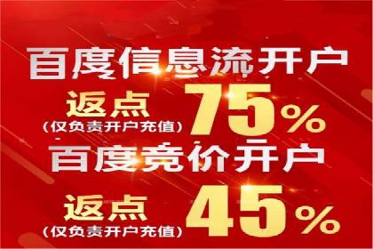 互联网公司SEM代运营成功案例剖析